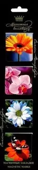 Набор магнитных закладок, 4шт. Цветы НМЗАсс-08
