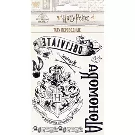 Наклейки-тату переводные Гарри Поттер 110х200 Макси
