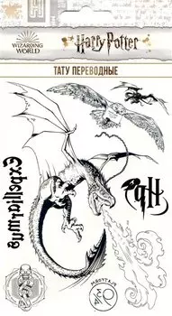 Наклейки-тату переводные Гарри Поттер 110х200 Макси