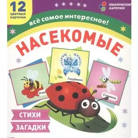 Насекомые. 12 цветных карточек