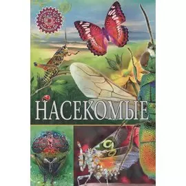 Насекомые