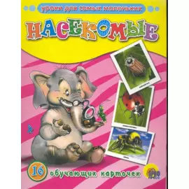 Насекомые. 16 обучающих карточек