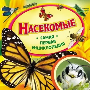 Насекомые