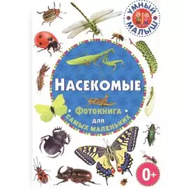 Насекомые. Фотокнига для самых маленьких
