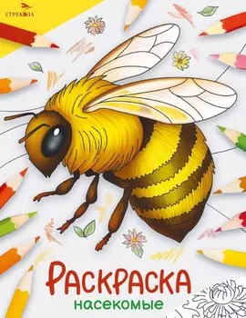 Насекомые. Окружающий мир. Раскраска