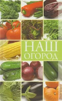 Наш огород
