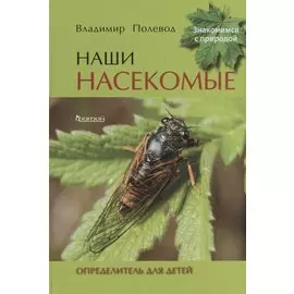 Наши насекомые. Определитель для детей