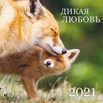 Настенный календарь на 2021 год «Дикая любовь», 30х30 см