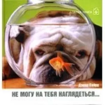 Не могу на тебя наглядеться