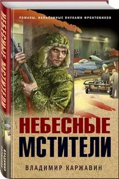 Небесные мстители