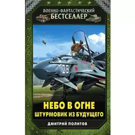 Небо в огне. Штурмовик из будущего