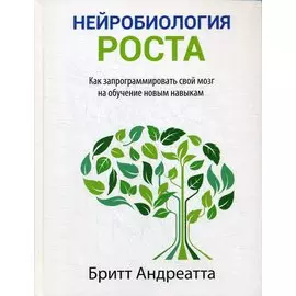 Нейробиология роста: как запрограммировать свой мозг на обучение новым навыкам