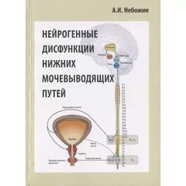 Нейрогенные дисфункции нижних мочевыводящих путей