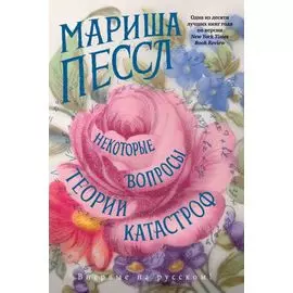 Некоторые вопросы теории катастроф