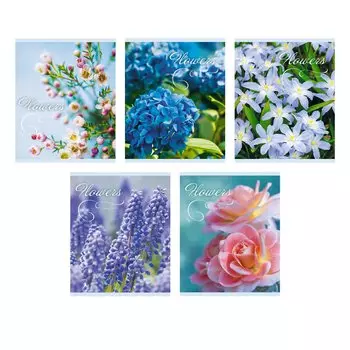 Нежные цветы