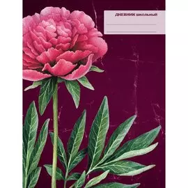 Нежный пион (живопись) ДНЕВНИКИ (*ПЕРЕПЛЕТ 7БЦ) для средних и старших классов