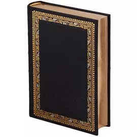 Ночной бродяга