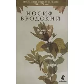 Ночной полет. Стихотворения