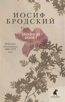 Ночной полет: стихотворения