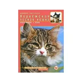 Аквар.Норвежская лесная кошка
