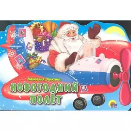 Новогодний полет