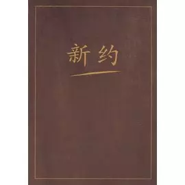 Новый завет на китайском языке