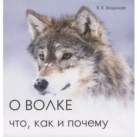 О волке. Что, как и почему