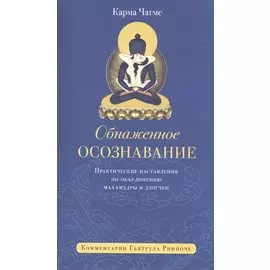 Обнажённое осознавание. Практические наставления по объединению махамудры и дзогчен