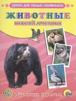 ОБУЧАЮЩИЕ КАРТОЧКИ. ЖИВОТНЫЕ ЮЖНОЙ АМЕРИКИ