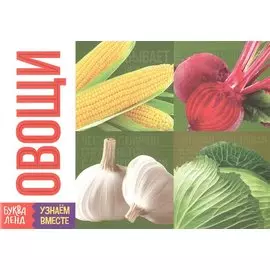 Обучающая книга «Овощи»