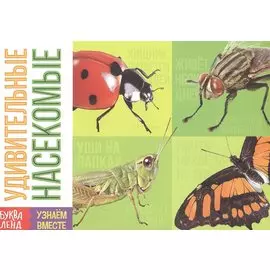Обучающая книга «Удивительные насекомые»