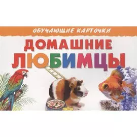 Домашние любимцы