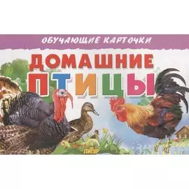 Обуч.карт.Домашние птицы