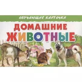 Обуч.карт.Домашние животные