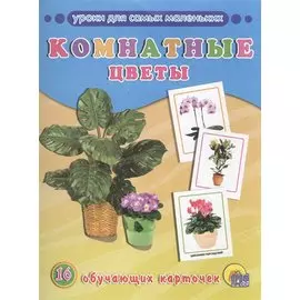 Обучающие Карточки. Комнатные Цветы