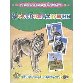 Млекопитающие