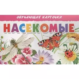 Обуч.карт.Насекомые