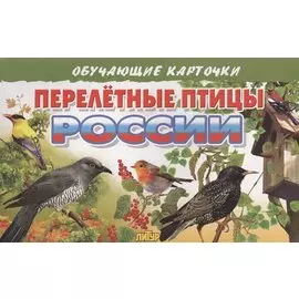 Перелетные птицы России
