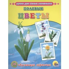 Обучающие Карточки. Полевые Цветы