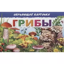 Обучающие карточки "Грибы"