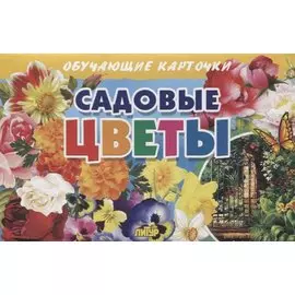 Обучающие карточки "Садовые цветы"
