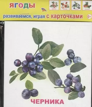 Обучающие карточки Ягоды (упаковка) (978-5-91282-662-7)