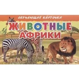 Обучающие карточки. Животные Африки