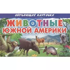 Животные Южной Америки