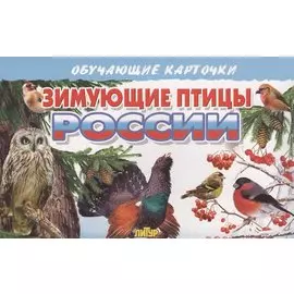 Зимующие птицы России