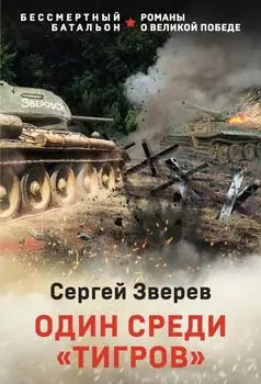 Один среди «тигров»