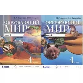 Окружающий мир. 4 класс. Учебник. В 2-х книгах (комплект из 2-х книг)