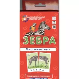 Зебра. Мир животных. Окружающий мир. Игра развивающая и обучающая. Для детей от 5 лет