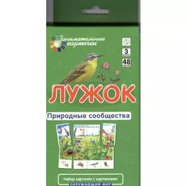 Лужок. Природные сообщества