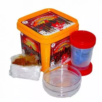 Опыты. Набор для опытов Кровавый рассвет